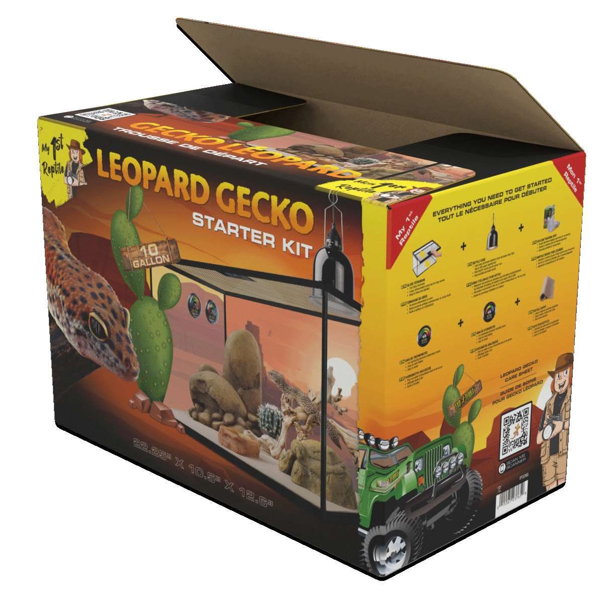 My first Reptile Leopard Gecko Starter kit